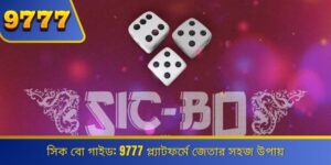 Sic Bo Guide